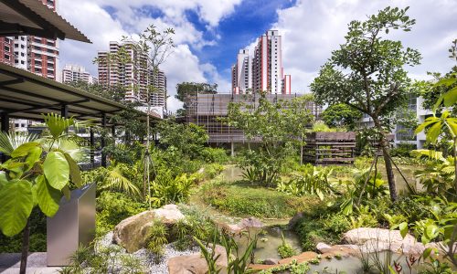 Wheelchair friendly tours at Enabling Village